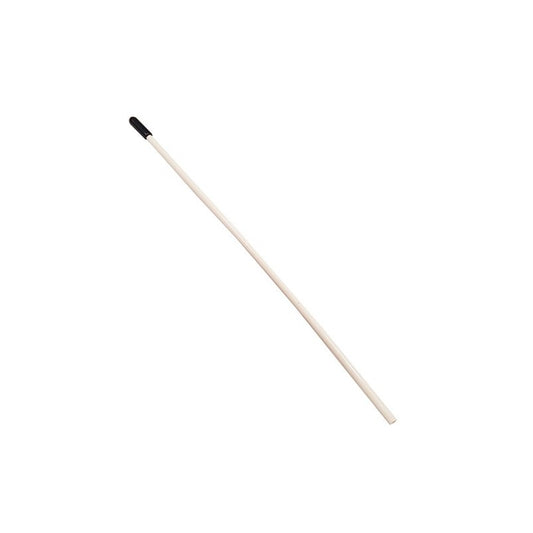 WHITE RECEIVER ANTENNA WITH CAP